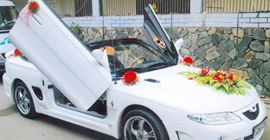 Car rental wedding service